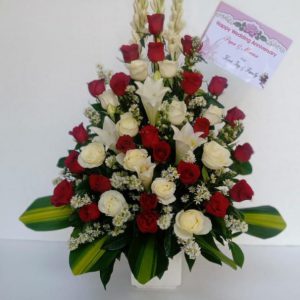 WhatsApp Image 2021-04-13 at 10.10.05 PM (1) WhatsApp Image 2021-04-13 at 10.10.05 PM (1)